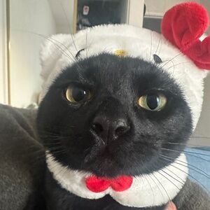 Meet your Posher, Fernanda